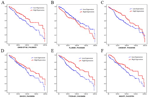 Figure 6. Kaplan–Meier survival curves for six lncRNAs (CHK8-CPT1B, FLJ36000, LINC00167, SNHG15, TTC28-AS1 and WASH7P) associated with overall survival. Horizontal axis: overall survival time, days; Vertical axis: survival function.