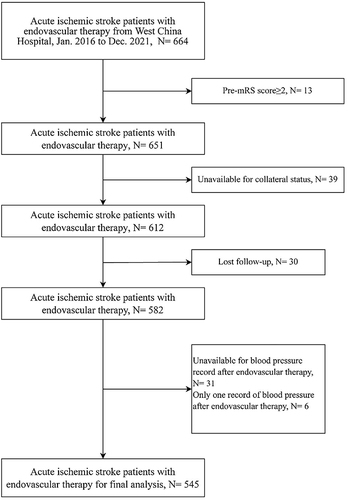 Figure 1 Flow chart of patient enrollment.