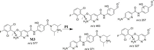 Scheme 3 M3 fragment ions.