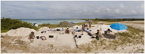 FIG. 11 Partial view of the 2010 excavation of the earthwork feature (photo, José Voglar).