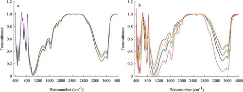 Figure 7. Infrared spectrum of corn (a) and wheat (b) seasons soil.
