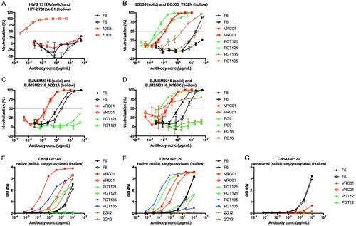 Fig. 5 Alternative epitope identification of F6.a Neutralization of F6 against HIV-27312A and HIV-27312A-C1. b Neutralization of F6 against HIV-1BG505 and HIV-1BG505_T332N. c Neutralization of F6 against HIV-1BJMSM2316 and HIV-1BJMSM2316_N332A. d Neutralization of F6 against HIV-1BJMSM2316 and HIV-1BJMSM2316_N160K. e–g ELISA binding of F6 to deglycosylated CN54 GP140 and GP120 treated with Endo H enzyme (New England Biolabs) at 37 °C according to the manufacturer’s protocol