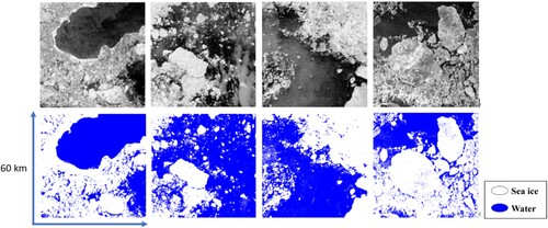 Figure 9. The input SAR image (HH) is shown in the upper row, and the inference result is shown in the bottom row. Blue areas represent ocean, and white areas represent sea ice.