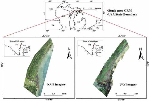 Figure 2. Carp River Mouth study area. The shoreline is adjacent to Lake Huron. NAIP imagery was acquired September 2018. UAV imagery was collected in August 2019.