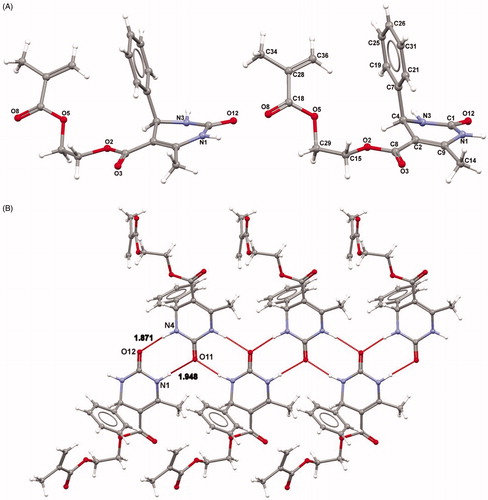 Figure 1. (A) The molecular structure of the new compound. (B) Packing diagram of the title compound. N–H–O hydrogen bonds are shown as dashed lines. For clarity only one of the disordered components of the phenyl ring is shown.