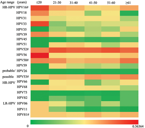 Figure 3. Genotype distribution of HPV infection by age groups.