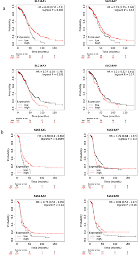 Figure 4. Prognostic value of the SLC16A1/3/7/8 genes in ovarian cancer from Kaplan-Meier plotter.