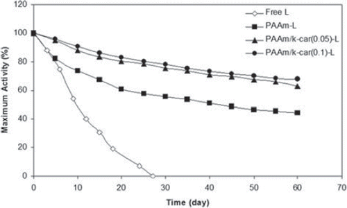 Figure 3. Storage stability of the free and immobilized laccases’ activity.