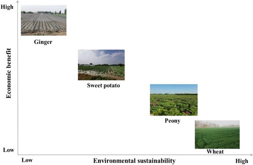 Figure 5. The conceptual trade-off of economic benefits and environmental impacts of four planting systems. The position of the four planting systems on the x-axis shows the environmental sustainability (ESI), while the y-axis shows the economic benefits of each system.
