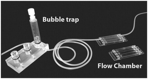Figure 8. Flow chamber system. The setup consists of a bubble trap to capture small air bubbles in the medium and the flow chamber. In this example the flow chambers are molded in poly-ethylene. On top of the flow chambers, a microscope coverslip is attached using silicone glue. Only one channel is mounted with silicone tubing. For details see Tolker-Nielsen & Sternberg (Citation2014). © Claus Sternberg.