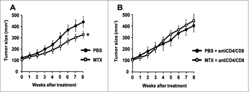 Figure 3. Mitoxantrone reduces the growth of autophagy-competent melanomas in mice with an intact immune system. Once the melanomas from Tyr::CreERT2;Ptenfl/fl;BRafCA/+;Atg7+/+ mice had reached a surface of approximately 100 mm2 (day 0), they were treated by intraperitoneal injections of MTX or vehicle (PBS) every 2 weeks. Tumor growth was monitored by means of a caliper for 8 weeks. Additionally, to assess the involvement of the immune system, mice were treated i.p. with PBS (A) or a mix of αCD4 and αCD8 antibodies (B) at different times (days −3, 0, 1, 3, 5, 8, 15, 22, 29, 36, 43, 50). Experiments were done on groups of 15 mice. Results are reported as means ± SEM. *p < 0.05 (unpaired Student's t test).