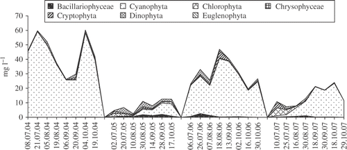 Fig. 2. Phytoplankton composition in Lake Bnińskie from July to October in the years 2004–2007.