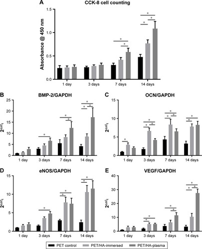 Figure 7 Proliferation and bone formation gene expression level of BMSCs on the grafts.Notes: (A) Cell proliferation of the BMSCs determined by CCK-8 at 1, 3, 7, and 14 days. Expression level of mRNA related to the bone formation process, including (B) BMP-2, (C) OCN, (D) eNOS, and (E) VEGF. *p<0.05.Abbreviations: BMSC, bone marrow stromal cell; CCK-8, cell counting kit 8.