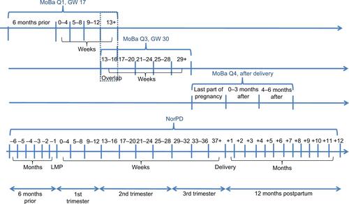 Figure S1 Timeline of questionnaires (MoBa) and of prescription records (NorPD).Notes: MoBa Q1, completed in gestational week 17, covers medication use in early pregnancy. MoBa Q2 is a dietary questionnaire filled out around gestational week 22 and was not included in this study. MoBa Q3, completed in gestational week 30, covers medication use in mid pregnancy. MoBa Q4, completed 6 months after delivery, covers medication use in last part of pregnancy and during the first 6 months after delivery. We did not include the first 6 months after delivery covered by MoBa Q4 in our analysis.Abbreviations: GW, gestational week; LMP, last menstrual period; MoBa, Norwegian Mother and Child Cohort Study; MoBa Q1, MoBa questionnaire 1; MoBa Q2, MoBa questionnaire 2; MoBa Q3, MoBa questionnaire 3; MoBa Q4, MoBa questionnaire 4; NorPD, Norwegian Prescription Database.