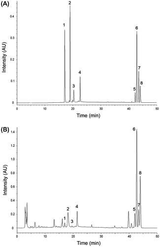 Fig. 2. HPLC-DAD Analysis Results of a Standard Sample (A) and a Real Sample Obtained from California Poppy Cell Culture (B).Notes: 1 sanguinarine; 2 chelerythrine; 3 chelirubine; 4 macarpine; 5 dihydrochelerythrine; 6 dihydrochelirubine; 7 dihydrosanguinarine; 8 dihydromacarpine.