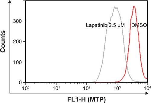 Figure S1 Lapatinib-induced mitochondria collapse in U937 cells.Notes: U937 cells were treated with DMSO or 2.5 µM lapatinib for 2 days. Cells were stained with DiOC6 (molecular probes) and the MTP inside the cells was analyzed by flow cytometry.Abbreviations: DMSO, dimethyl sulfoxide; MTP, mitochondria transmembrane potential.