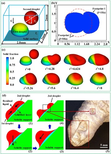 Figure 8. (a) Computation domain and boundary conditions of the numerical model; (b) Comparison between footprints when f = 1 and 5 Hz; (c) Agglomeration process of adjacent droplets; (d) Formation of hole-defects on an inclined surface.