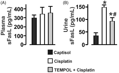 Figure 4. Cisplatin-induced oxidative stress increases urinary sFasL in mice. Bar graphs summarizing the levels of sFasL in: (A) Plasma, and (B) Urine of Captisol (vehicle control)-, cisplatin (15 mg/kg; single IP injection)-, and TEMPOL (100 mg/kg; IP for 4 days) + cisplatin-treated mice. *p < .05 vs. Captisol; #p < .05 vs. cisplatin; n = 6 each.