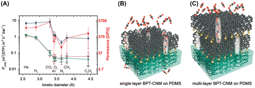 Figure 6. (a) Gas permeance through different CNM membranes (PCNM) calculated from the permeance of the composite membranes (CNM/PDMS) using resistance models that account for the finite permeance of the PDMS support and partial coverage of the PDMS surface by the CNM. * Permeance scale with GPU units (red color) added to the original image for convenient comparison with other data. (b) Schematic depiction of the proposed gas transport mechanism in single and multilayer CNMs. The molecule-sized channels (highlighted by the bright regions) favor the permeation of CO2 and smaller gas molecules. (c) Low diffusion of CO2 in between the individual CNMs hinders its permeation through the multilayer CNMs. Reprinted with permission from Ai et al. [Citation43] Copyright 2015 WILEY-VCH Verlag GmbH & Co. KGaA, Weinheim.