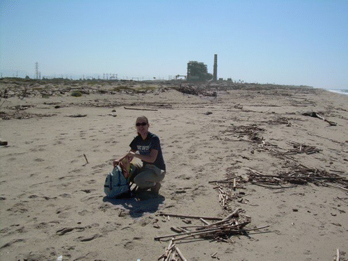 Figure 2. Fieldwork: studying the sandy beach.