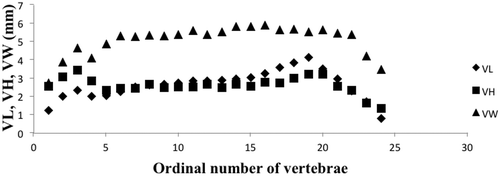 Figure 3. Vertebral profiles of Carangoides caeruleopinnatus. VL, central length; VH, central height; VW, central width.