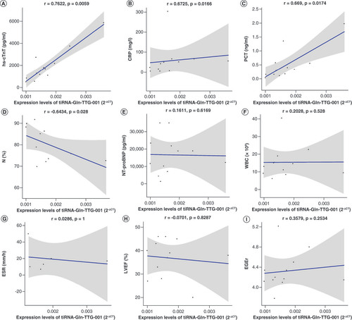 Figure 7. Association between expression levels of tiRNA-Gln-TTG-001 (expressed as 2-ΔCT) and the serological or imaging parameters of fulminant myocarditis during acute phase. (A) Expression levels of tiRNA-Gln-TTG-001 were positively associated with the values of hs-cTnT (r = 0.7622, p = 0.0059). (B) Expression levels of tiRNA-Gln-TTG-001 were positively associated with the values of CRP (r = 0.6725, p = 0.0166). (C) Expression levels of tiRNA-Gln-TTG-001 were positively associated with the values of PCT (r = 0.669, p = 0.0174). (D) Expression levels of tiRNA-Gln-TTG-001 were negatively associated with the values of N% (r = -0.6434, p = 0.028). (E) The correlation coefficient between levels of tiRNA-Gln-TTG-001 and NT-proBNP (r = 0.1611, p = 0.6169) was not statistically significant. (F) The correlation coefficient between levels of tiRNA-Gln-TTG-001 and WBC counts (r = 0.2028, p = 0.5281) was not statistically significant. (G) The correlation coefficient between levels of tiRNA-Gln-TTG-001 and ESR (r = 0.0286, p = 1) was not statistically significant. (H) The correlation coefficient between levels of tiRNA-Gln-TTG-001 and LVEF (r = -0.0701, p = 0.8287) was not statistically significant. (I) The correlation coefficient between levels of tiRNA-Gln-TTG-001 and EGEr (r = 0.3579, p = 0.2534) was not statistically significant.EGEr: Early gadolinium enhancement ratio = enhancement myocardium/enhancement skeletal muscle; ESR: Erythrocyte sedimentation rate; FM: Fulminant myocarditis; hs-cTnT: Highly sensitive cardiac troponin T; LVEF: Left ventricular ejection fraction; N%: Neutrophil proportion; NT-proBNP: N-terminal pro-brain natriuretic peptide; PCT: Procalcitonin; WBC: White blood cell.