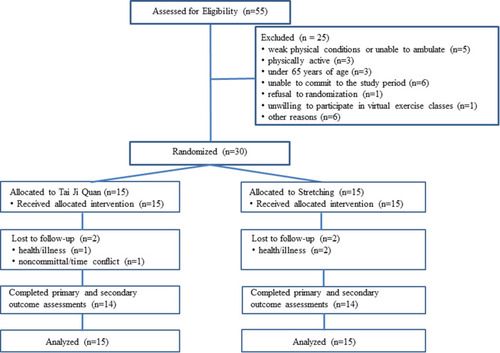 Figure 1 Flow of Participants through the Study.