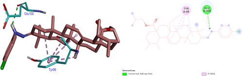 Figure 4. Binding modes of compound III4 with NF-κB in 3D and 2D diagram. The H-bond interactions with compounds are shown in green, and alkyl-bonds are shown in pink.