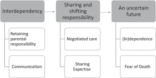 Figure 2. Key themes.