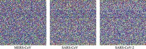 Figure 3. Sample Z-Curve color images for the three Coronavirus strains.