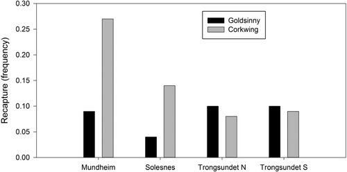 Figure 6. Recapture frequency for goldsinny wrasse (Ctenolabris rupestris) and corkwing wrasse (Symphodus melops) at the four locations Mundheim, Solesnes, Trongsundet N (Tysnes) and Trongsundet S (Tysnes) in the Hardangerfjord region in 2011.
