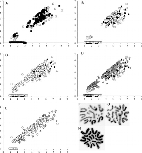 Figure 2 Variation in the relative size and centromere position of mitotic chromosomes from male tree wētā (Hemideina) from four populations. A, Individual chromosomes from each of 10 mitotic cells from two individual wētā from the same population (Hawkes Bay H. thoracica). Grey or black squares represent each wētā; B, Hemideina thoracica collected from Hawkes Bay (n = 10; grey squares) and Manawatu (n = 10; black triangles), one mitotic cell per wētā; C, Hemideina thoracica (Hawkes Bay and Manawatu; grey squares and black triangles) and H. crassidens from Manawatu (n = 10; white circles); D, Hemideina thoracica (Hawkes Bay and Manawatu; squares and triangles) and H. trewicki from Hawkes Bay (n = 13; dark grey diamonds); E, Hemideina trewicki from Hawkes Bay (dark grey diamonds) and male H. crassidens from Manawatu (white circles). Smaller chromosomes where no centromere could be identified were given an arbitrary P-value of 0.1%, with total length of the chromosome being its q-value. Representative mitotic chromosomes from: F, male H. thoracica; G, male H. crassidens; H, male H. trewicki.