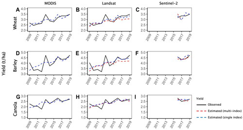 Figure 4. Mean annual variation in estimated yield against observed yield of wheat (Top panel), barley (Middle panel) and canola (Bottom panel) using MODIS baseline model (A,D,G) and best performing Landsat (B,E,H) and Sentinel-2 (C,F,I) models. Crop yield shown along the y-axis range from 2 to 4 t/ha for wheat (A–C), from 3 to 5 t/ha for barley (D–F) and from 1 to 3 t/ha for canola (G–I). A simple yield average across all municipalities was calculated to get an annual mean yield value for inter-year comparison of model estimated yield to observed yield.