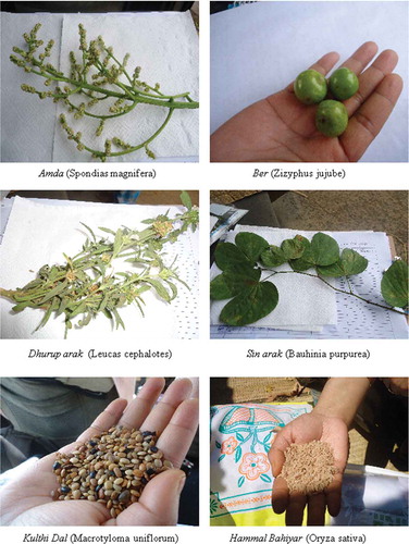 Figure 2. Indigenous foods of Santhal tribal community of Jharkhand.