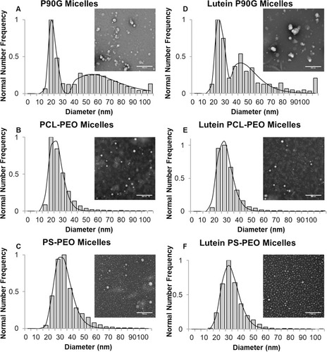 Figure 5 Particle size distribution and TEM imaging of unloaded (A–C) and lutein-loaded (D–F) micelles via EM-NP. Scale bar = 500 nm.