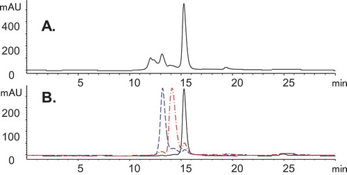 Figure 1. SEC chromatograms of Bis-A on an Aquity BEH SEC-200 column. (A) SEC of Bis-A affinity purified Protein A product pool. (B) SEC overlay of enriched fractions 1 (black), 2 (red), and 3 (blue).