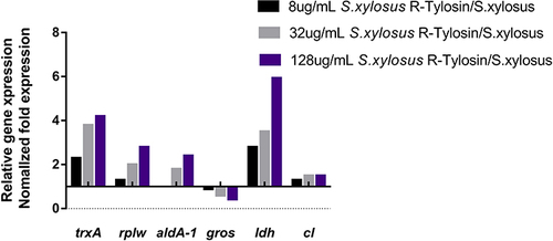 Figure 5 Changes in resistant proteins at mRNA level of different tylosin-resistance levels in S. xylosus, including thioredoxin (trxA), 50S ribosomal protein L23 (rplW), aldehyde dehydrgenase (aldA-1), chaperonin (gros), L-lactic dehydrogenase (ldh), and chloramphenicol-resistant protein (cl).