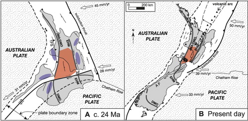 Figure 10 Plate tectonic reconstructions for A, c. 24 Ma and B, the present day (after Nicol et al. Citation2007). The 24 Ma map shows (in red) a possible region which could have acted as an area of sediment supply for Oligocene–earliest Miocene clastics. Notably, much of this area has been very highly shortened and uplifted since the Oligocene, which may explain the lack of preservation of Late Oligocene strata at the present day (right). Purple shows areas in the Taranaki, Murchison, Western Southland and East Coast basins with significant accumulations of Oligocene–earliest Miocene clastic sediments. AF, Alpine Fault; DMO, Dun Mountain Ophiolite; EHM, Esk Head Melange; JMA, Junction Magnetic Anomaly; TFS, Taranaki Fault System.