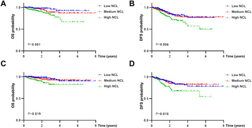Figure 2 Kaplan–Meier survival analysis of nucleolin expression in endometrial carcinoma (EC) patients.