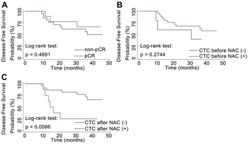 Figure 2 (A) DFS of patients with or without pCR after NAC. (B) DFS of patients with or without detectable CTCs before the initiation of NAC. (C) DFS of patients with or without detectable CTCs after NAC.Abbreviations: DFS, disease-free survival; NAC, neoadjuvant chemotherapy; CTC, circulating tumor cell.