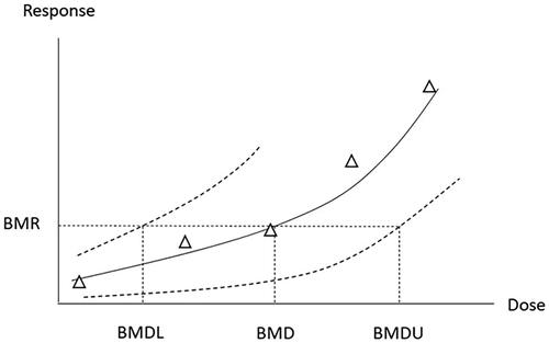 Figure 5. Schematic illustration of dose–response data and BMD modelling with the descriptors BMD, BMDL, and BMDU. Both the BMD and the BMDL are used as PoD. The solid and dotted curves show the best fit to the experimental data (Δ) and the confidence interval, respectively. BMD: benchmark dose BMDL; lower confidence limit of the BMD; BMDU: upper confidence limit of the BMD; PoD: point of departure.