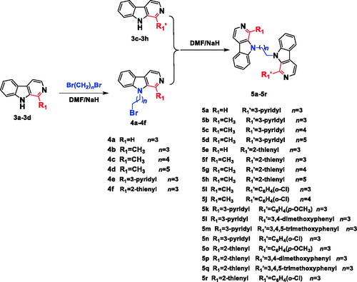 Scheme 2. Synthesis of the N9-heterobivalent β-carbolines 5a-r.