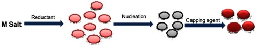 Figure 2 Capping action of rifampicin with silver nanoparticles.