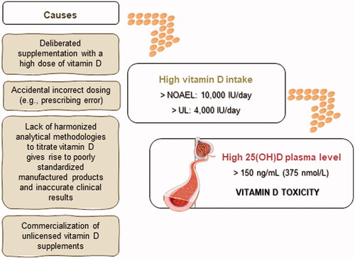 Figure 8. Vitamin D overdose. Excessive intake of vitamin D due to intentional or inadvertent incorrect dosing (e.g. prescribing errors, supplementation with products that have low or no quality control) may increase plasma 25-hydroxyvitamin D [25(OH)D] to concentrations susceptible to causing toxicity. NOAEL: no observed adverse effect level; UL: tolerable upper intake level.