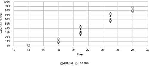 Figure 3 Increased acute wound closure rate seen with AFS over dHACM in an acute wound care model.