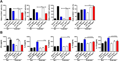 Figure 5 Function of TLR2 on BMDC maturation and cytokine production by rAc-PF in vitro. Activated BMDC surface marker (A) and cytokine expression level (B) were compared in WT and TLR2 KO groups stimulated with rAc-PF. (n = 3/group, three independent experiments, ***; p < 0.001).