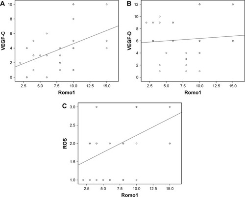 Figure 6 Spearman’s correlation analyses evaluating correlation among Romo1, VEGF-C, VEGF-D, and ROS; Romo1 expression levels showed significant positive correlation with VEGF-C (P=0.008, R=0.478) (A) and ROS (P=0.016, R=0.436) (C) in tumor samples. (B) There was no significant correlation between Romo1 expression and VEGF-D levels.