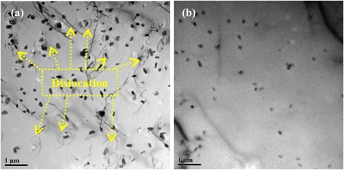 Figure 4. (a) Precipitates and dislocation distribution in the surface layer of 3.5 mm annealed sheet by TEM, (b) corresponding distribution in the center of 3.5 mm annealed sheet.