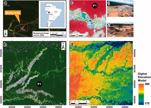 Figure 1. Political map (panel (a)) and Madre de Dios study area with a Landsat 8 OLI background image in RGB combination: SWIR2, SWIR1 and GREEN bands (panel (b)). Panel (d) shows the Digital Elevation Model (DEM) of the Shuttle Radar Topographic Mission (SRTM), both panel (b) and panel (d) represent the same study area. Panel (c) shows gold mining through PlanetLabs images (at 5 m); in addition, the resolution of this image makes it possible to see the characteristics of the gold mining in the study region (i.e., presence of water bodies).