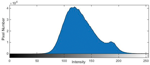 Figure 8. Histogram of a UAV image.